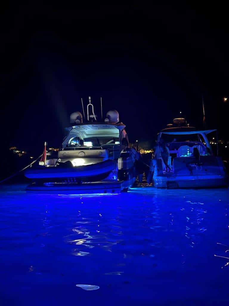 Sunseeker Predator 61 - miniatura 9