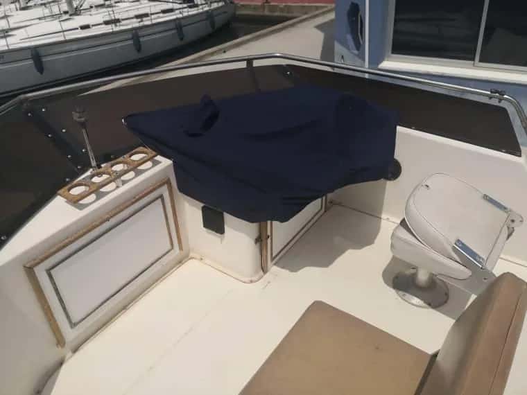 Sea Ray 300 Sedan Bridge - miniatura 4