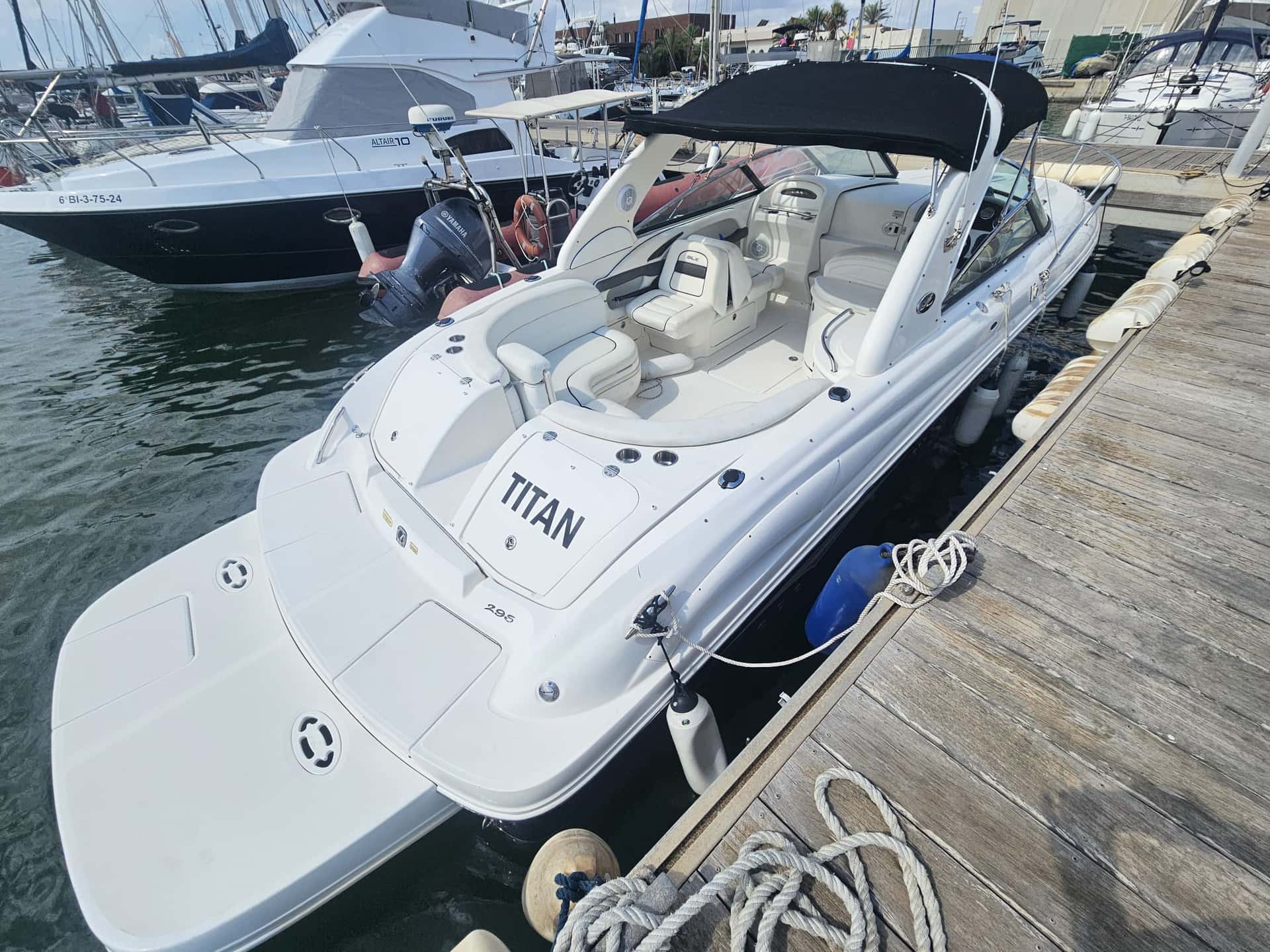 Sea Ray 290 SS - miniatura 3