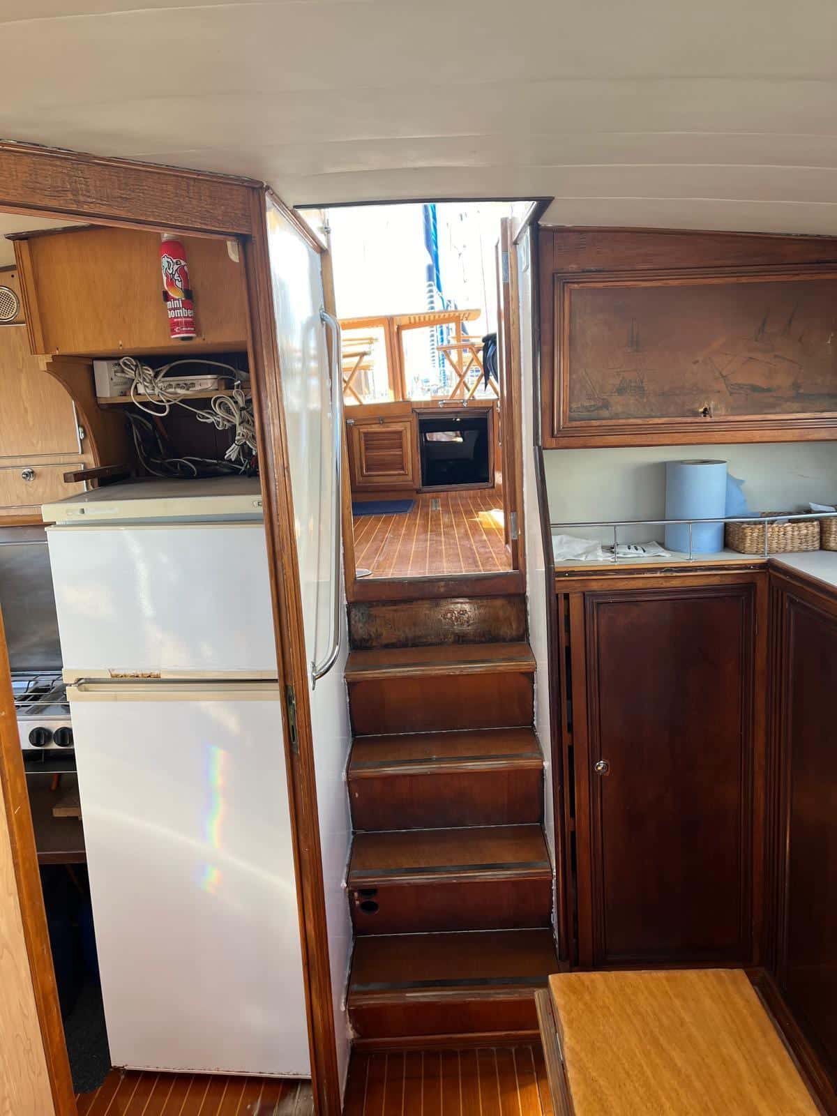 Picchiotti Giannutri - miniatura 37