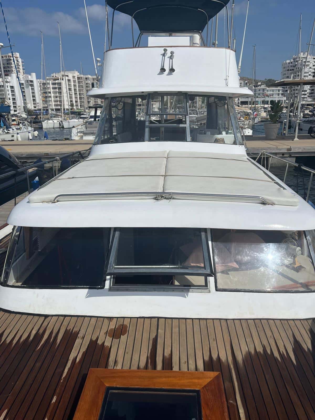 Picchiotti Giannutri - miniatura 7