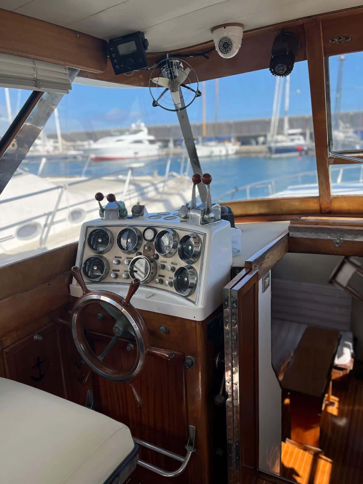 Picchiotti Giannutri - miniatura 25