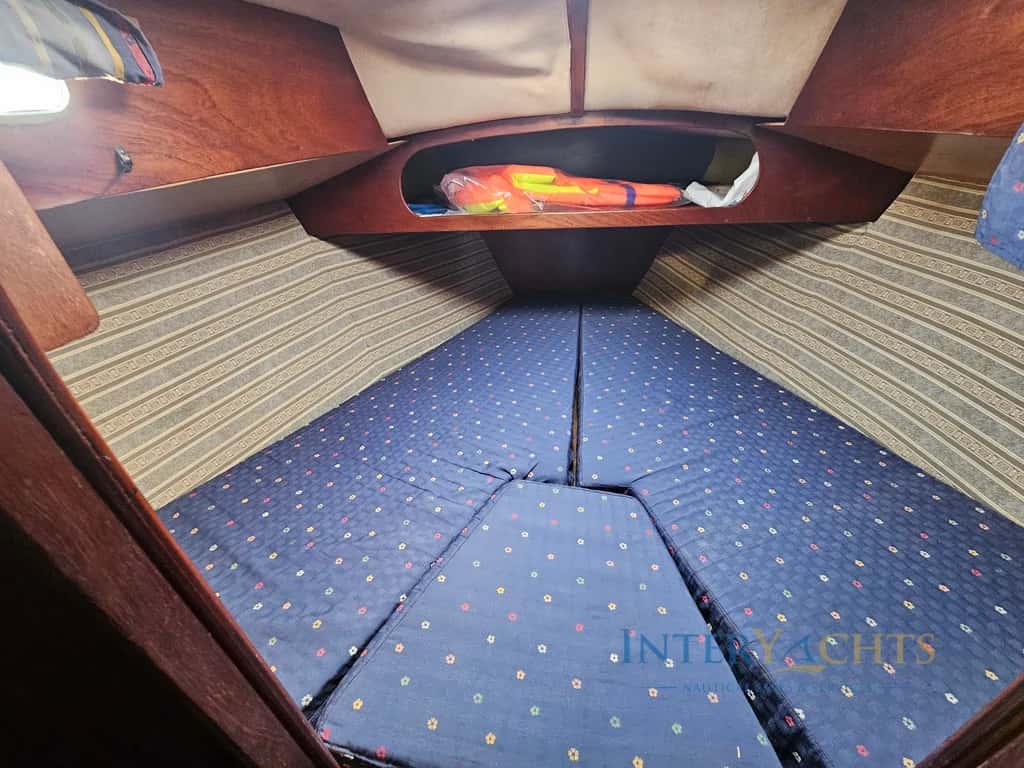 De Kloet Fellowship 28 - miniatura 6