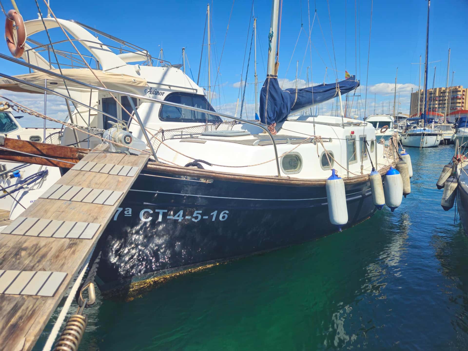 Myabca Delfín 28 - miniatura 11