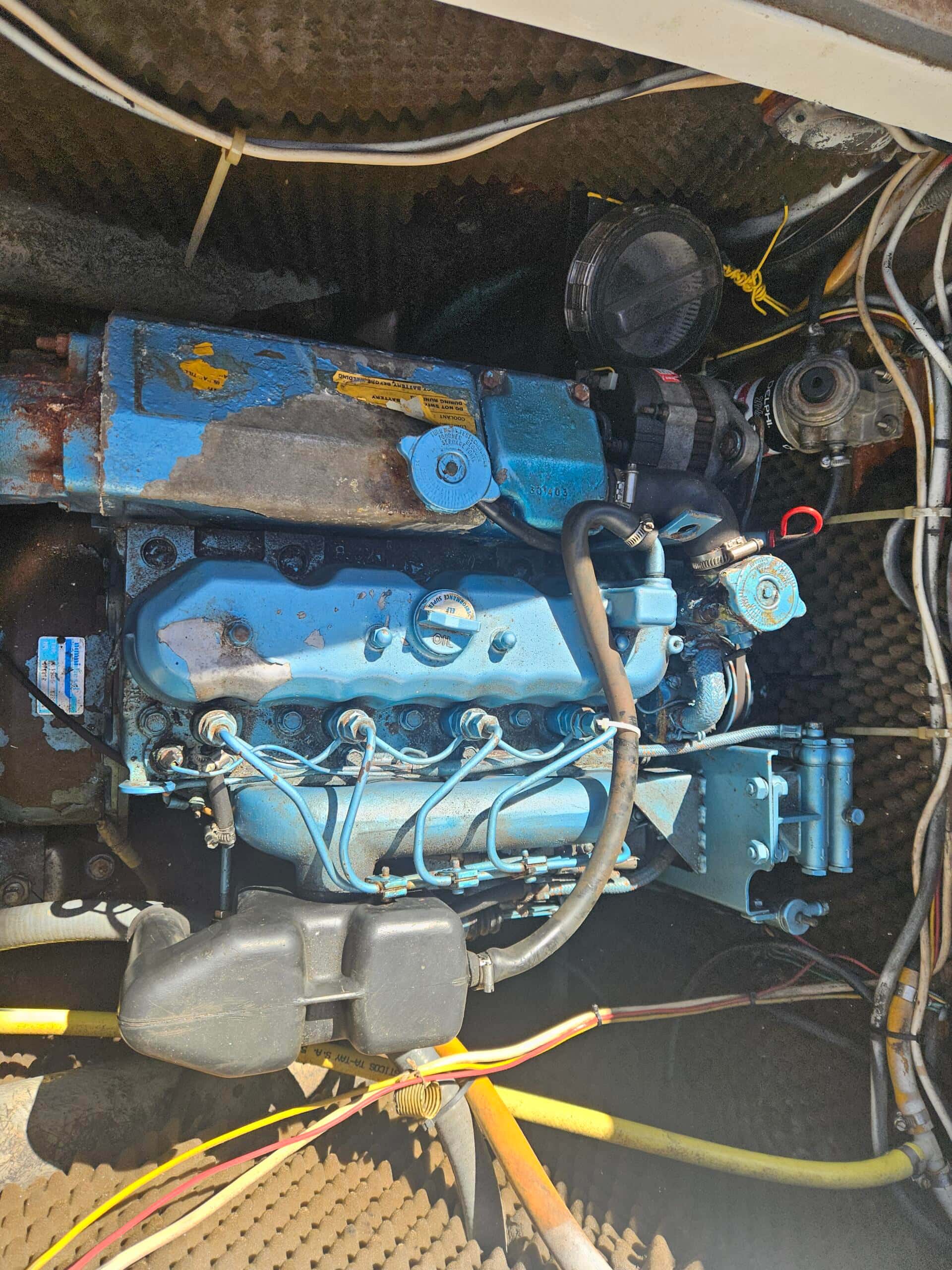 Myabca Delfín 28 - miniatura 3