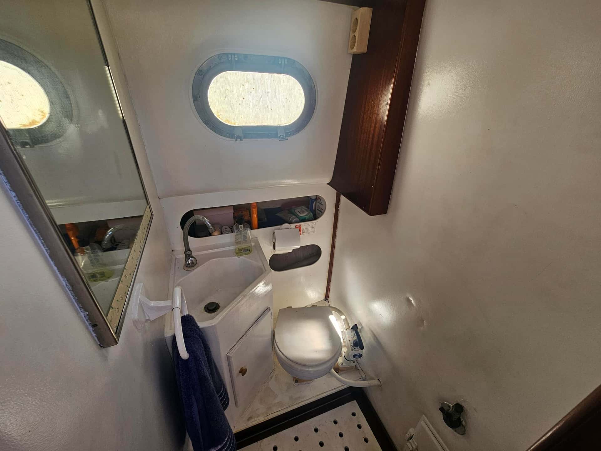 Myabca Delfín 28 - miniatura 4