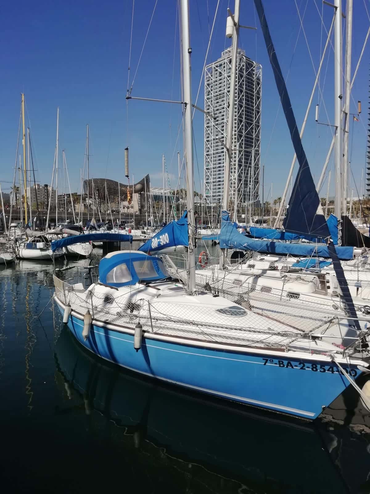 RO 300 - miniatura 2