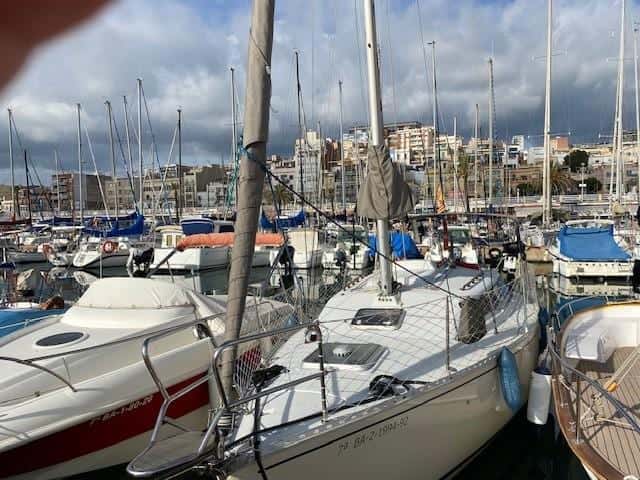 Feeling 286 - miniatura 3