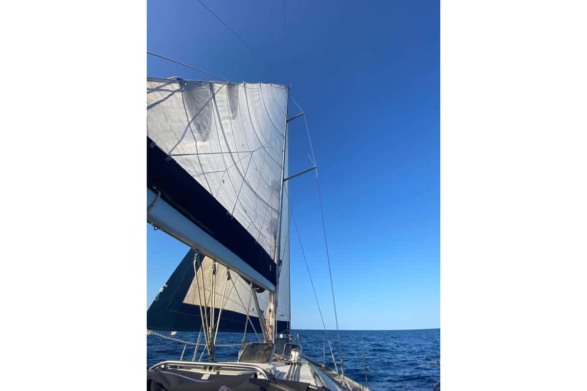 Dufour 385 - miniatura 11