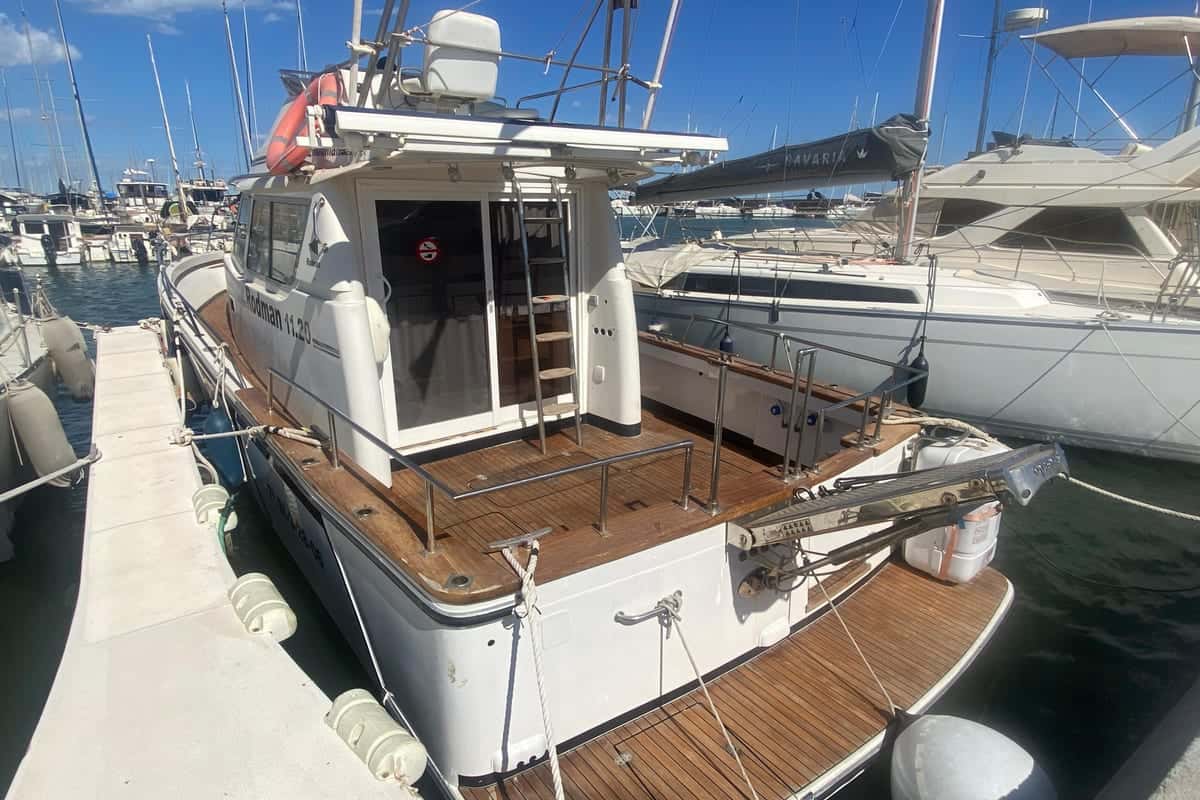 Rodman 1120 - miniatura 8