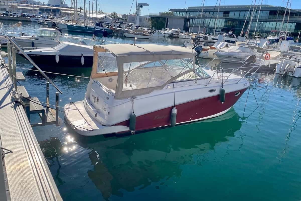 Rinker Fiesta Vee 250 - miniatura 2