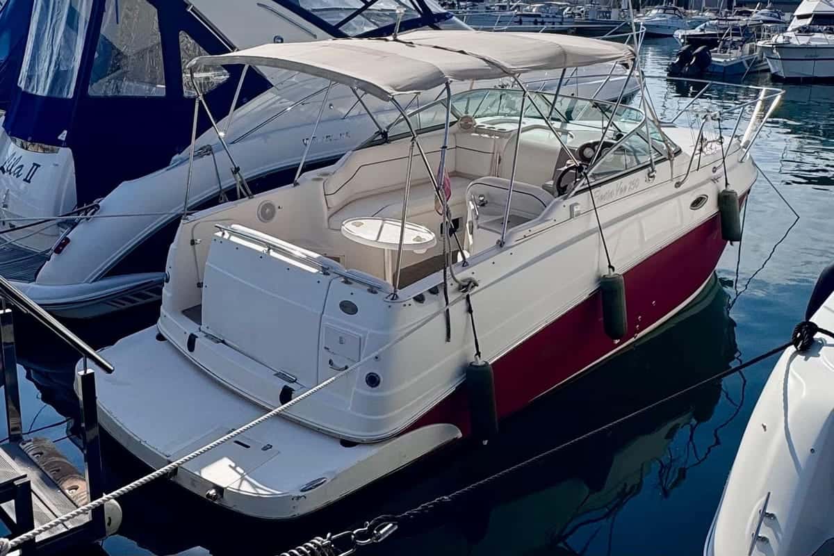 Rinker Fiesta Vee 250 - miniatura 4