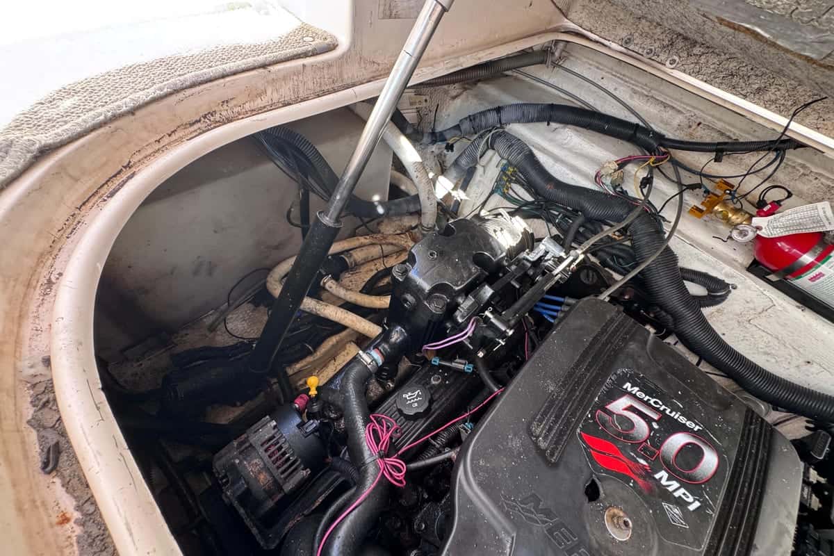 Rinker Fiesta Vee 250 - miniatura 29