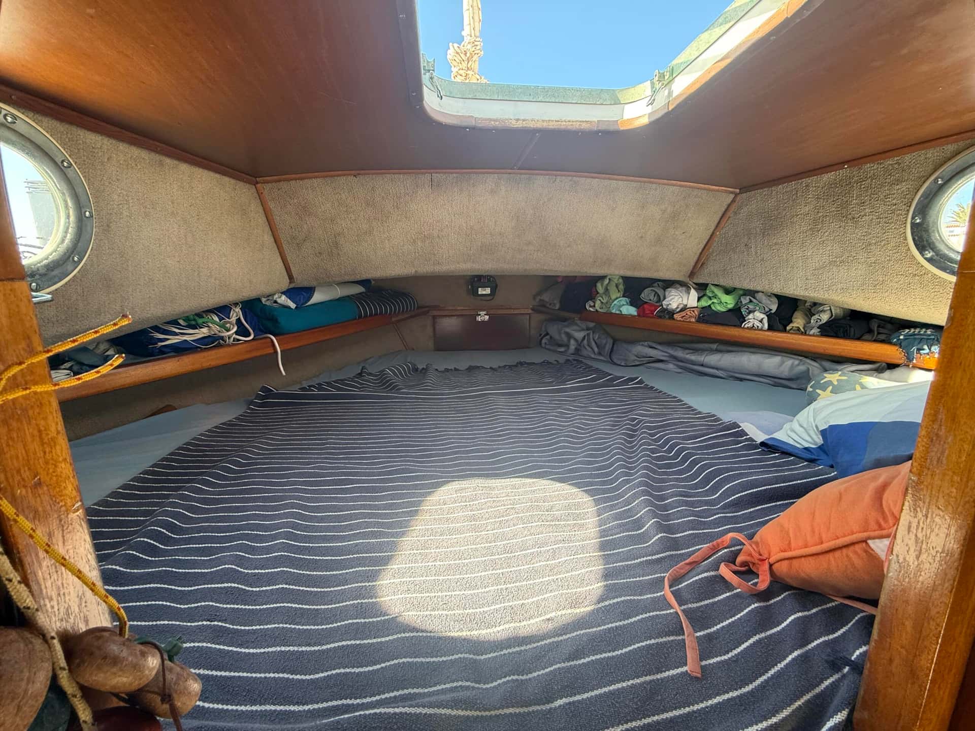 Myabca Delfin 28 - miniatura 13