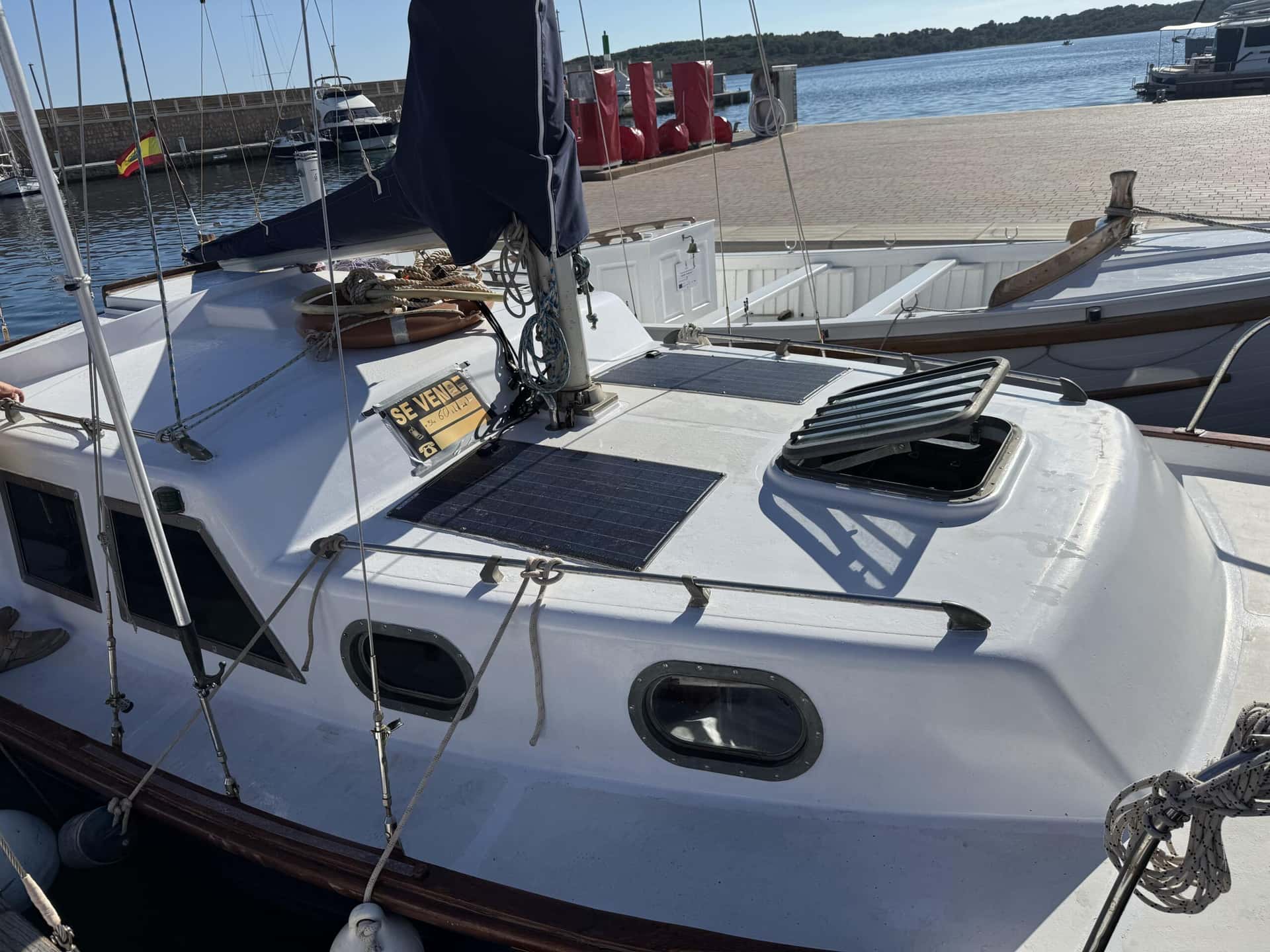 Myabca Delfin 28 - miniatura 3