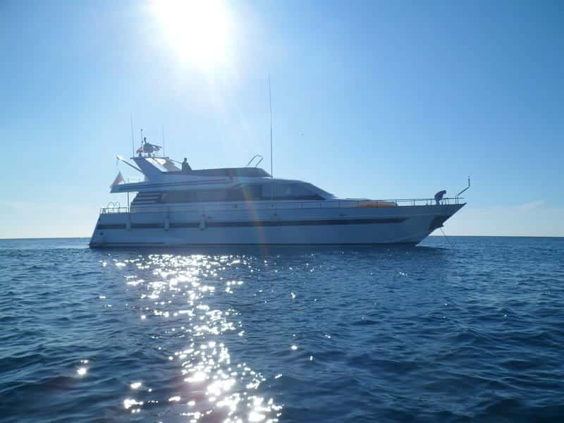 Eser Yat Generic MOTORYACHT