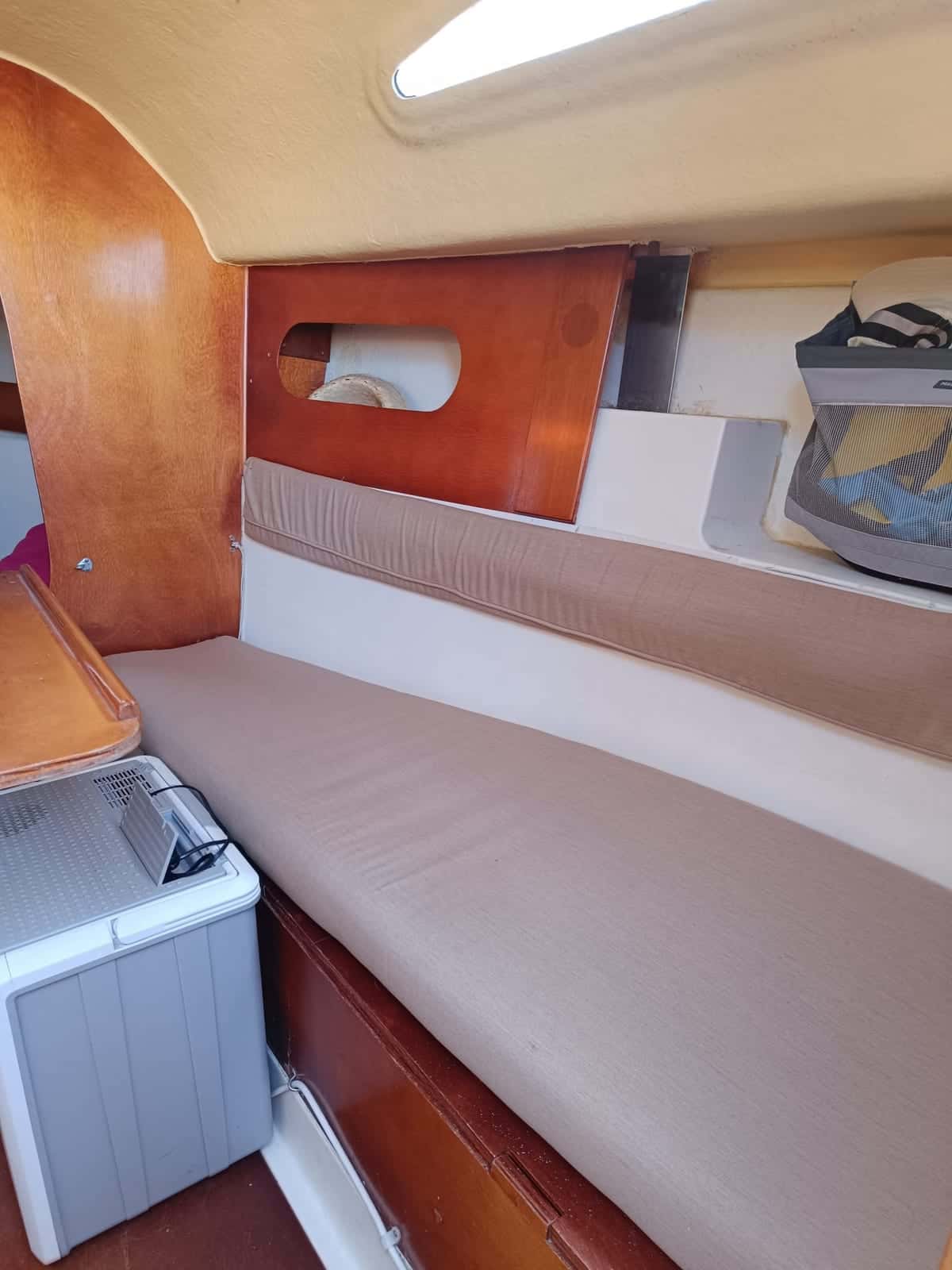 Astraea 260 - miniatura 15