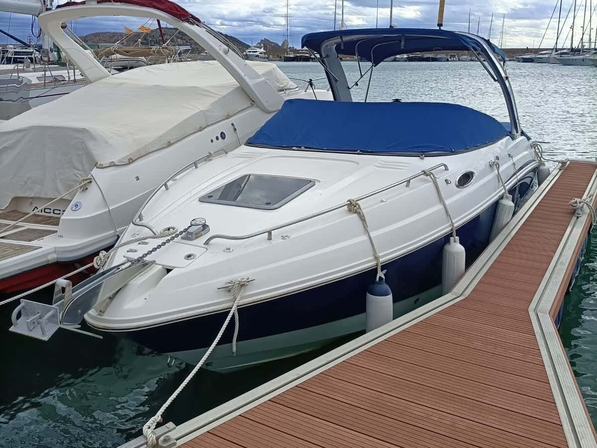 CHAPARRAL 255 SSI - miniatura 2