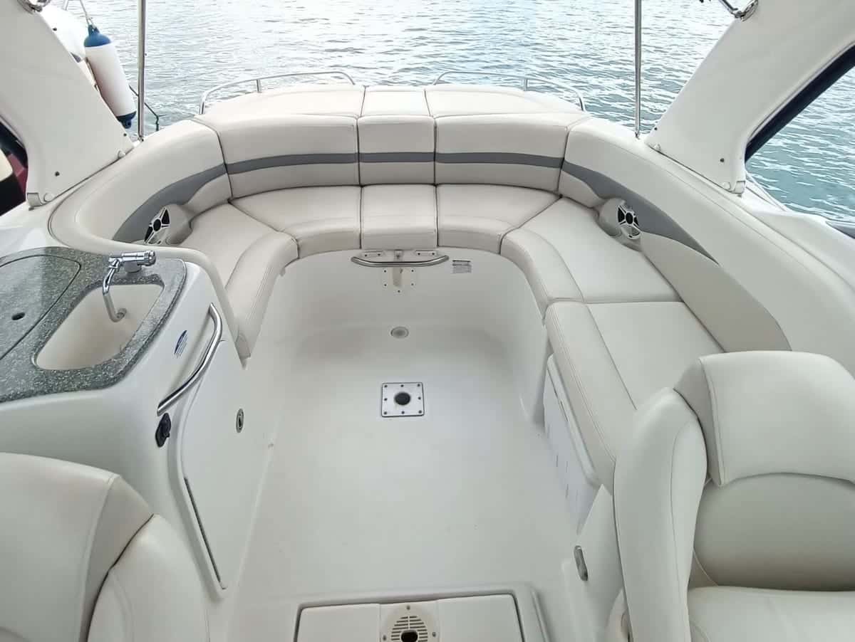 CHAPARRAL 255 SSI - miniatura 5