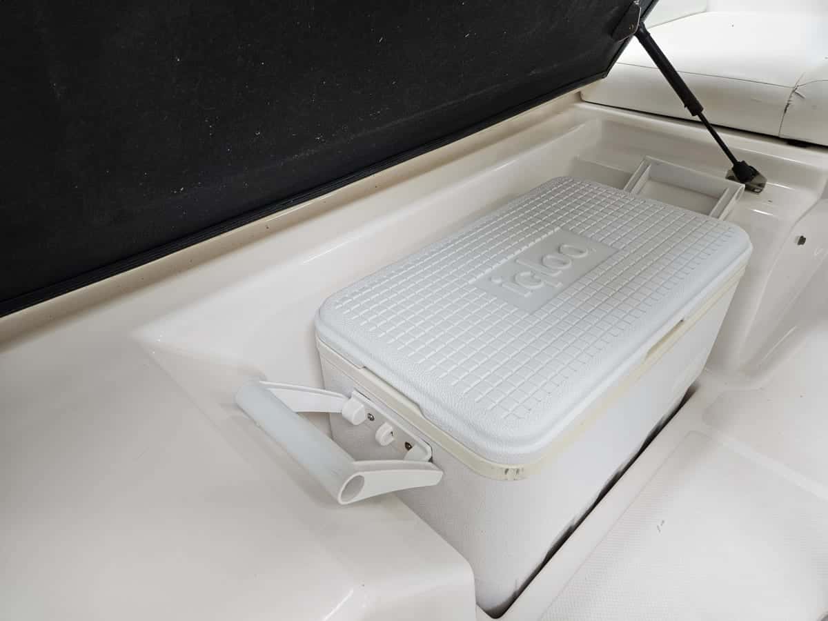 Regal 1900 - miniatura 16