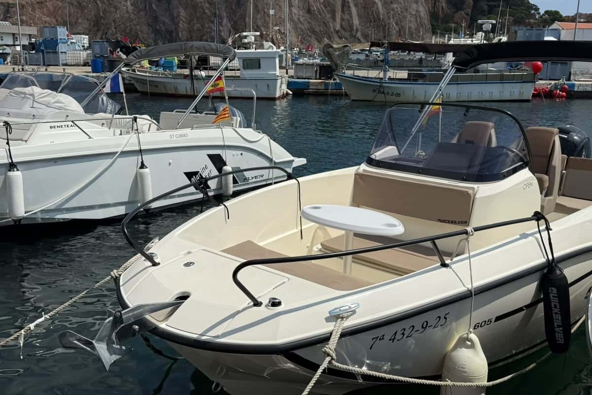 Quicksilver 605 Open - miniatura 4
